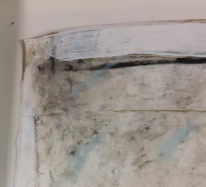 Leonie Greefkens - Gemengde techniek op papier, De tuinman en de dood - Ingelijst (Zeer groot) kopen? Bied vanaf 1!