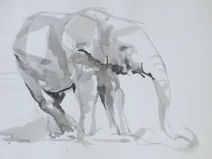 Willem van Dort - Oliefant - Gewassen inkttekening kopen? Bied vanaf 35!