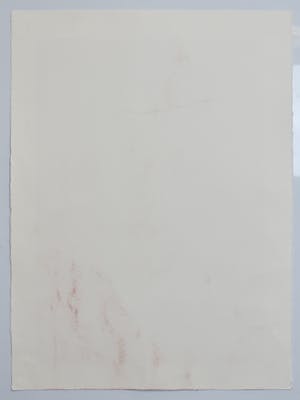 Judith ten Bosch - Giraffe kopen? Bied vanaf 1!