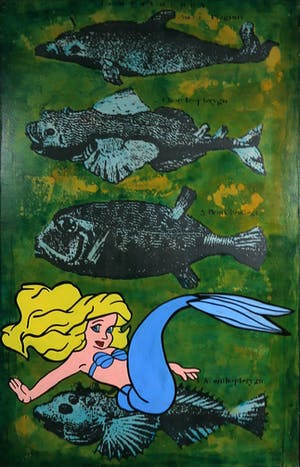 Jan Bollaert - Gemengde techniek op board, Fish-Green kopen? Bied vanaf 1!