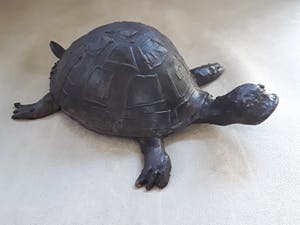 Adri de Waard - Bronzen schildpad van beeldhouwer Adri de Waard. kopen? Bied vanaf 55!