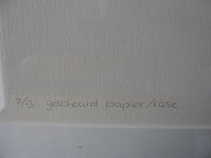 Loes Huis in 't Veld - Hand gesigneerde zeefdruk ' Gescheurd papier ros ' kopen? Bied vanaf 35!