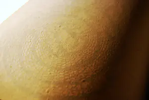 Diverse auteurs - Cobra boeken, 5 stuks, o.a. uit 1966 kopen? Bied vanaf 50!