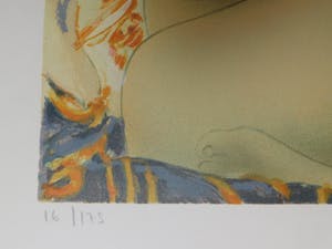 Alain Bonnefoit - Suite Nus: Cheveux noir kopen? Bied vanaf 35!