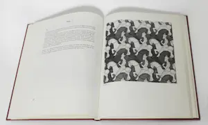 M.C. Escher - Escher's tekeningen - 1e druk 1965 kopen? Bied vanaf 50!