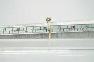 50- Klassieke 14 Krt geel-gouden rozet ring met 6 briljanten (0.10ct) diamant kopen? Bied vanaf 80!