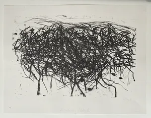 Max Uhlig - Bewachsenes Teichufer kopen? Bied vanaf 90!