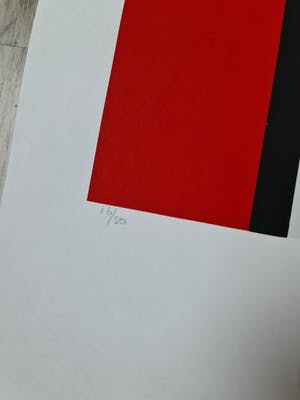 Maartje Wijngaarden - Bloem 7 en 8 - gesigneerd - 50 ex kopen? Bied vanaf 1!