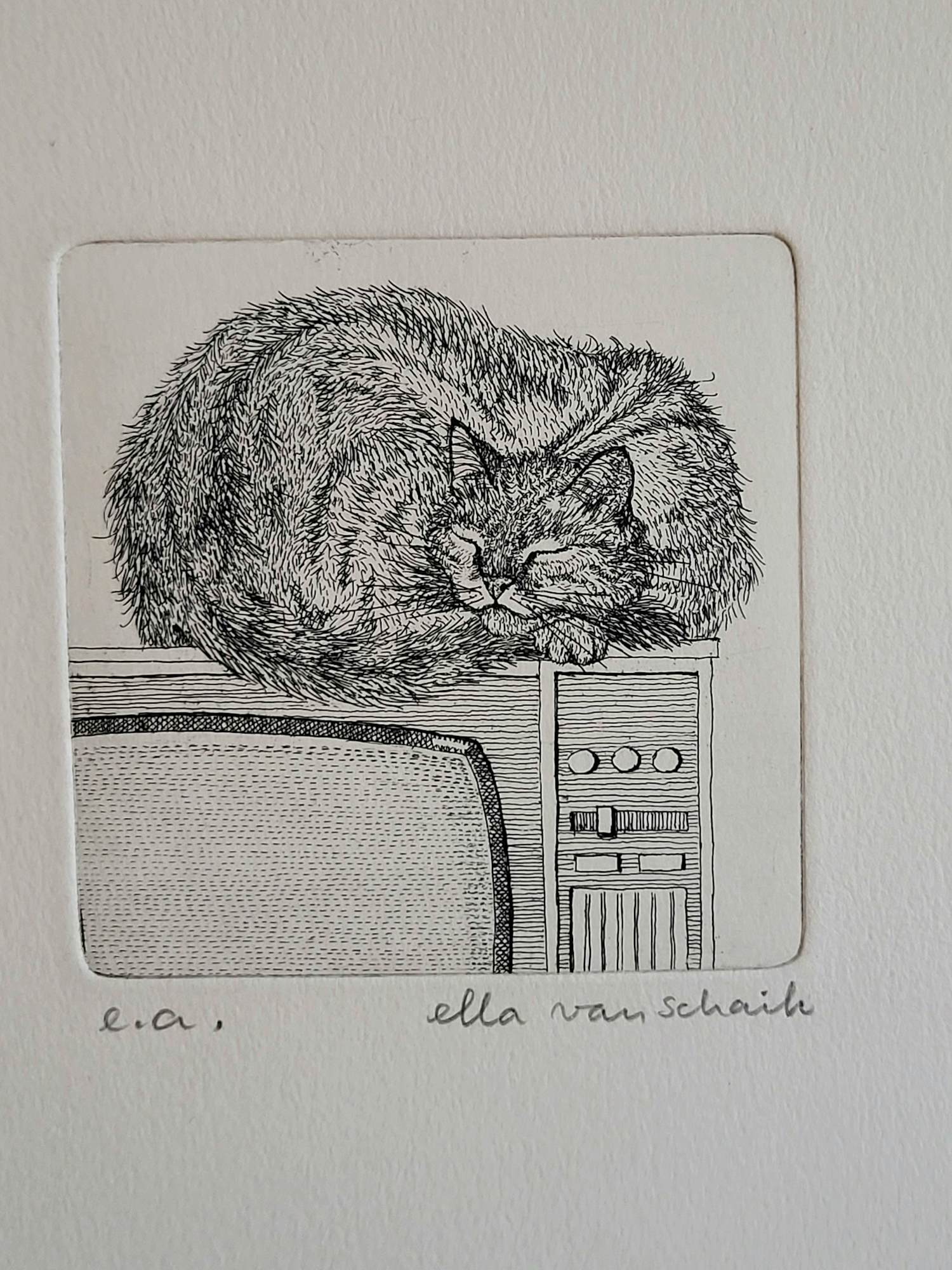 Ella van Schaik - handgesigneerde ets | 'Slapende poes op TV' kaufen? Bieten Sie von 40!
