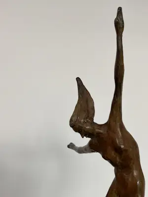 Corry Ammerlaan - Vreugdedans kopen? Bied vanaf 119!