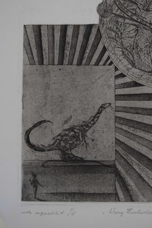 Jan Vaatstra - Ets - " Wrong Evolution " kopen? Bied vanaf 40!