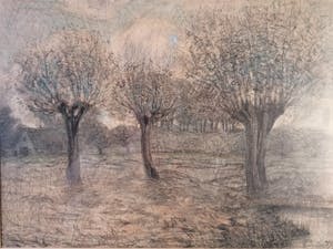 Theo Goedvriend - Knotwilgen in het landschap kopen? Bied vanaf 75!