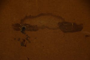 Henk van Leeuwen - Stilleven met tulpen - olieverf op hardboard kopen? Bied vanaf 100!