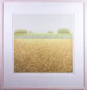 Hans Dolieslager - Zeefdruk, Augustuslicht - Ingelijst verkocht voor € 50!
