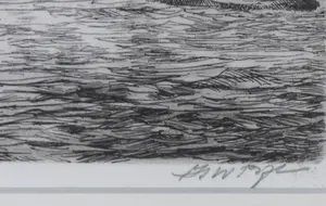 Marius de Jongere - en anderen - Lot van negen stuks ingelijst grafiek kopen? Bied vanaf 50!