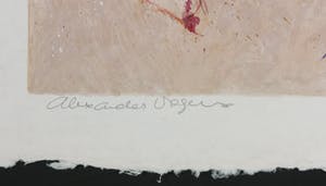 Alexander Vogels - Zeefdruk op geschept papier, Evolutions II kopen? Bied vanaf 1!