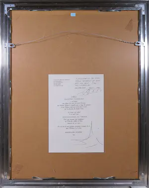 Salvador Dali - Heliogravure, Boekillustratie uit 'Memoires de Casanova' - Ingelijst kopen? Bied vanaf 1!