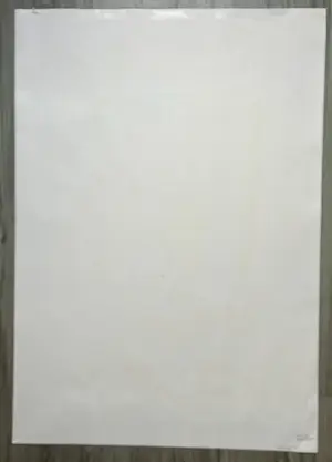 Bettina Lopetro - Man kopen? Bied vanaf 25!