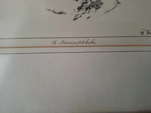 Piet Hohmann - Sint Nicasiusplekske kopen? Bied vanaf 25!