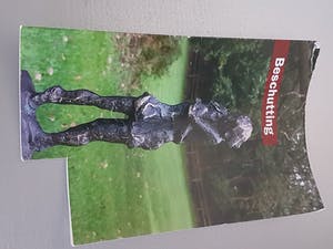 Astrid Veldhuyzen-Koppen - Beeld " Beschutting" kopen? Bied vanaf 35!