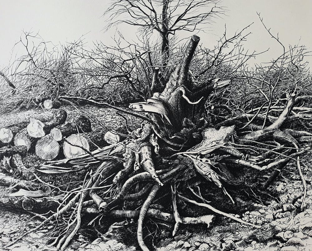 Patrick Creyghton (1934)