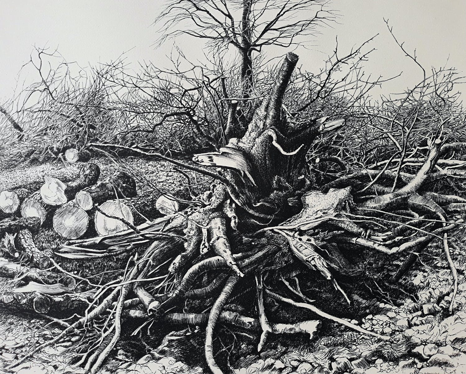 Patrick Creyghton (1934)