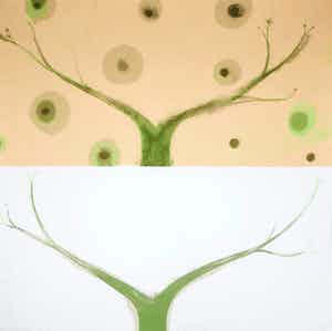 Piet Warffemius - Zeefdruk, Himalayan spring verkocht voor € 1!