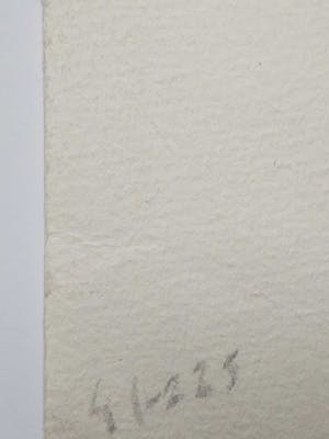 Niet of onleesbaar gesigneerd - Lithografie - Stier. kopen? Bied vanaf 10!