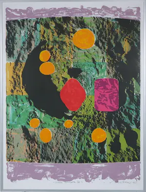 Jelis van Dolderen - 4 x zeefdruk op papier uit de serie Luna Colorata - Ingelijst kopen? Bied vanaf 50!