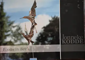 AcheterJonneke Kodde - Walking around - Loopeenden - inclusief boek? Enchérissez de 875!