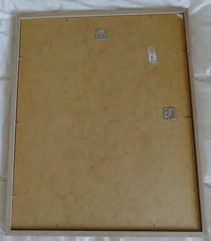 Jac. de Beer - Chrysanten kopen? Bied vanaf 35!