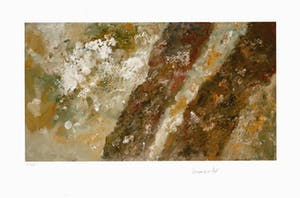 Armando - Kleurengiclee BAUME Handgesign. SLECHTS 25EX!!! kopen? Bied vanaf 159!