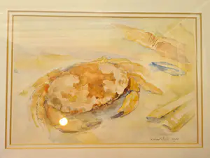 Reyer Sluis - Aquarel van een krab kopen? Bied vanaf 75!