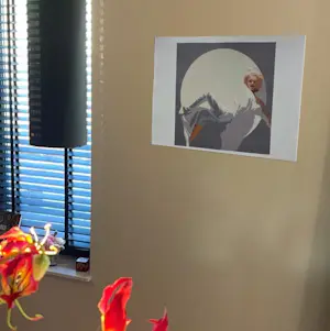 Shi Biao Fang - White Dream No 1 kopen? Bied vanaf 275!