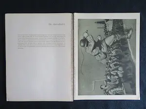 Leendert Jurriaan Jordaan - Nachtmerrie over Nederland kopen? Bied vanaf 50!