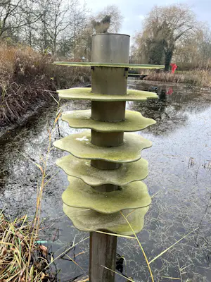 Hedda Willem Buijs - bijzonder abstract beeld (geschikt als vijverbeeld) kopen? Bied vanaf 400!