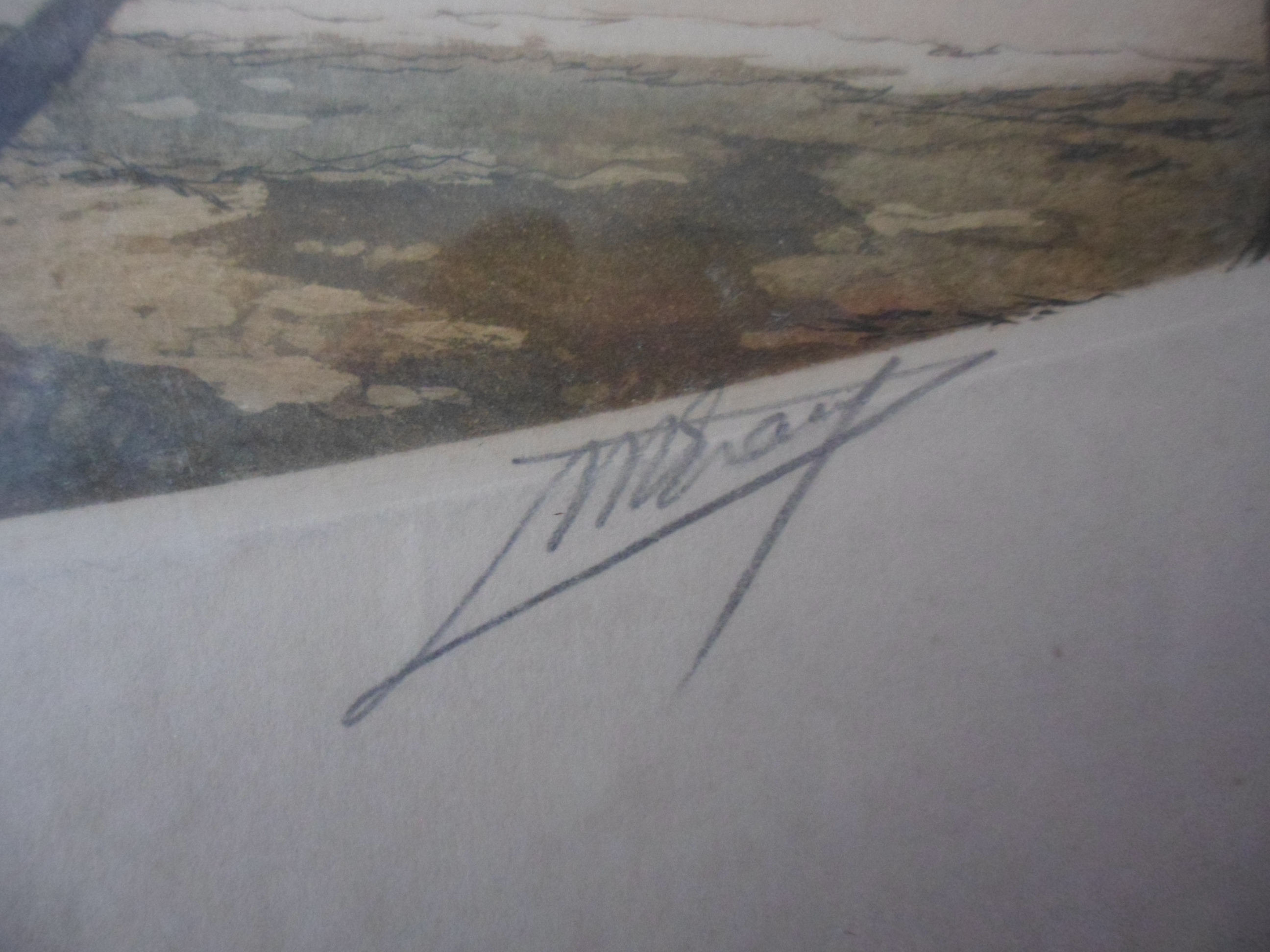 Niet of onleesbaar gesigneerd - Kleuren ets, Landschap kopen? Bied vanaf 1!