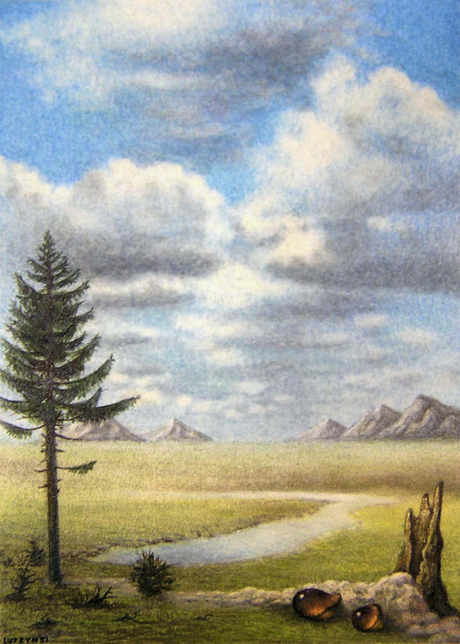 Jaap Luteyn - Aantasting door schimmel kopen? Bied vanaf 69!