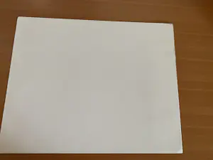 Willem den Ouden - Litho de Waal Tegenlicht nummer V/X 1991 kopen? Bied vanaf 79!