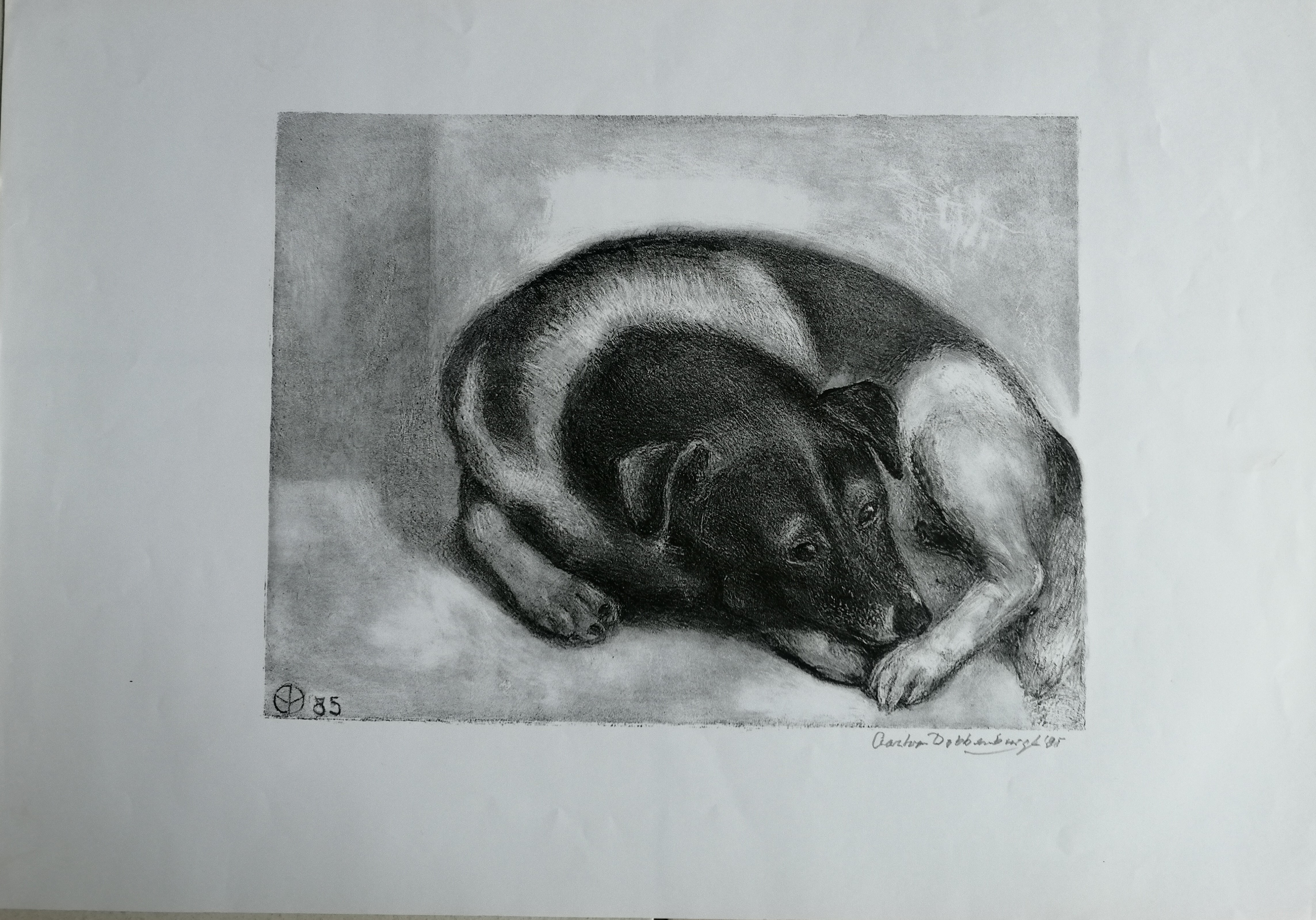 Aart van Dobbenburgh - Liggende hond kopen? Bied vanaf 20!