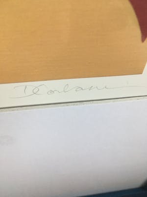 Donna Corbani - Handgesigneerde zeefdruk ‘ Daydream ‘ kopen? Bied vanaf 35!