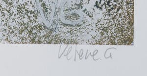 Giovanni Vetere - Zeefdruk, Sneeuwpret kopen? Bied vanaf 1!