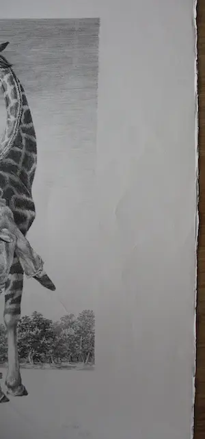 Peter Vos - Litho: gevoel kopen? Bied vanaf 150!