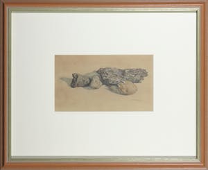 Willempje Noordam - Potlood en gouache, Stilleven met aardappels - Ingelijst kopen? Bied vanaf 1!