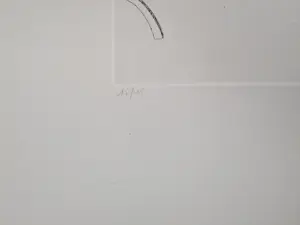 Luc Piron - liggend naakt - lage oplage! kopen? Bied vanaf 39!