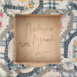 Arjan van Arendonk - Portugese Pigmenti kopen? Bied vanaf 275!