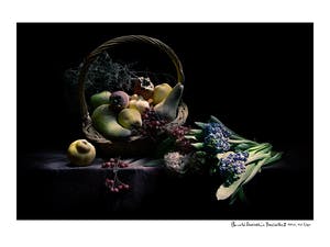 Arnold Mariashin - Hyacinths II kopen? Bied vanaf 125!