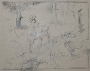 Floris Tiele - 9x diertekening van reeën kopen? Bied vanaf 39!