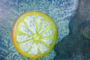 Eta Bender - Gemengde techniek op doek, Citroen - Ingelijst kopen? Bied vanaf 1!