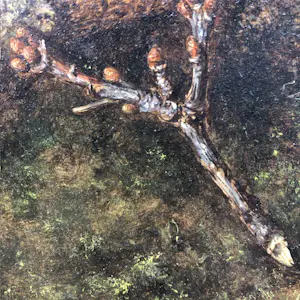 Hans van Wijk - Stilleven op boomstronk. kopen? Bied vanaf 450!